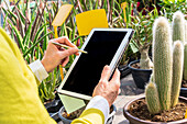 Crop female gardener using modern tablet while counting plants and working in garden center