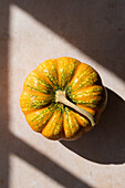 Top view of fresh ripe pumpkin placed on marble beige table in kitchen in sunlight