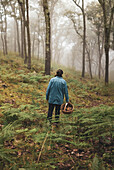 Back view of female walking through trees and collecting mushrooms in wicker basket in foggy forest