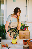 Young female florist in apron planting green plant into ceramic pot while working in professional floristry studio