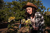 Smiling ethnic female farmer enjoying scent of aromatic yellow roses growing in garden in countryside in summer