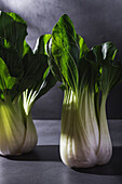 Healthy fresh bok choy cabbages leaf vegetable placed on black table against dark background