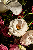 Frischer Blumenstrauß mit weißen Lilien, Eustoma und Aster in Glasvase bei Sonnenschein