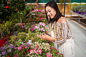Aufrichtige junge ethnische Käuferin wählt blühende Blumen mit angenehmem Duft in einem Gartengeschäft am Tag aus