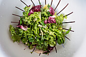 Draufsicht auf frische Salatblätter in einem weißen Plastiksieb in der Küche