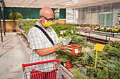 Älterer männlicher Einkäufer mit Brille und Schutzmaske liest Aufkleber auf einem Topf mit einer Koniferenpflanze in einem Gartencenter