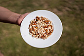 From above of crop unrecognizable farmer standing in field with plate with pile of assorted cereal grains