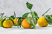 Orangefarbene Mandarinen mit grünem Stiel und Blatt liegen auf einem weißen Tisch