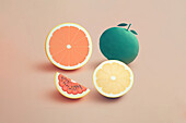Illustration of blue citrus fruit placed near orange halves and slices on beige background