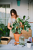 Young female florist in apron planting green plant into ceramic pot while working in professional floristry studio