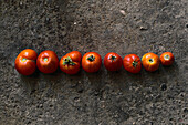 Nahaufnahme einer Reihe von roten Tomaten auf dem Boden von oben