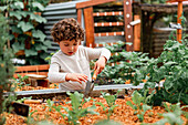 Small curly haired curious boy with shovel standing near gardening bed while helping with planting seedlings
