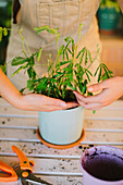 Young female florist in apron planting green plant into ceramic pot while working in professional floristry studio