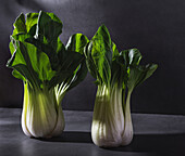Healthy fresh bok choy cabbages leaf vegetable placed on black table against dark background
