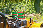 Parked tractor with stacked empty cherry harvesting plastic baskets over green grass under tree in farmland at countryside on sunny day