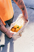 Von oben abgeschnittene, nicht erkennbare Person hält eine Stofftasche voller reifer, frisch gepflückter Zitronen, was auf eine erfolgreiche Ernte in einem Hausgarten hinweist.