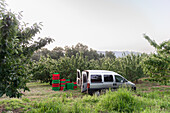 Moderner Lieferwagen, geparkt auf einer Wiese in der Nähe von üppigen grünen Bäumen gegen einen wolkenlosen Himmel auf dem Land