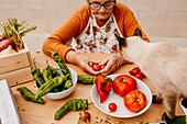 Eine ältere Frau in einer Schürze sortiert frische Tomaten, mit einer neugierigen Katze an ihrer Seite, inmitten einer Reihe von buntem Gemüse