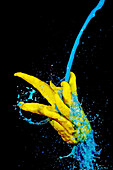 Ein dynamischer blauer Farbspritzer, der vor einem dunklen Hintergrund auf die Zitrone einer Buddha-Hand trifft und einen auffälligen Kontrast erzeugt