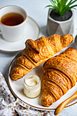 Close-up of a warm, inviting breakfast scene featuring fresh croissants, a clear jar of creamy honey, and a steaming cup of tea, with green succulents adding a touch of nature