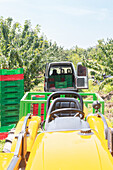 Yellow tractor and van parked near stack of crates in garden during harvesting of ripe fresh cherries on sunny day at countryside