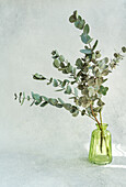 A delicate eucalyptus branch arrangement in a light green transparent glass vase, set against a soft textured background