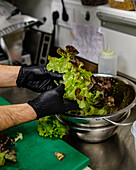 A chef in black gloves carefully handles green and red lettuce leaves in a stainless steel bowl in a professional kitchen setting