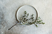 A top view of a round ceramic plate beside a eucalyptus branch, all laid out on a textured concrete background