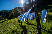 Wäscheleine mit Handtüchern auf einer sonnigen Wiese im Bergland