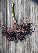 A bunch of elderberries on a wooden table