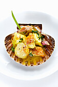 Bouillabaisse with rouille in scallop shells