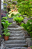 Steintreppe im Garten mit Farnen und Topfpflanzen