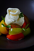 Burrata with colourful tomatoes and basil