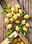 Kisten mit frischen Bio-Zitronen
