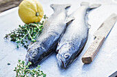 Raw trout with lemon and thyme