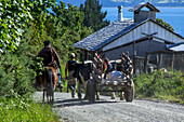 Farmers driving their ox cart on a dirt road on rural Chiloe Island in the Lakes Region of Chile. A small boy rides in the ox cart.