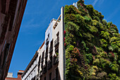 Vertikaler Garten Caixa Forum von Patrick Blanc, Madrid, Spanien