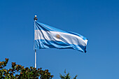 The Argentine flag flying on the grounds of the Buenos Aires Argentina Temple of The Church of Jesus Christ of Latter-day Saints.