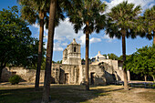 Palmen und die Mission Concepcion im San Antonio Missions National Historic Park, San Antonio, Texas. Eine UNESCO-Welterbestätte.