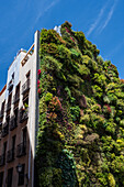 Caixa Forum vertical garden by Patrick Blanc, Madrid, Spain
