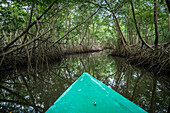 Fluss, der durch einen Sumpf fließt: Caroni Swamp. Trinidad und Tobago