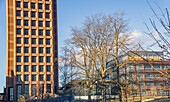 Kline Biology Tower, Außenansicht, und Science Hill, Yale University, New Haven, Connecticut, USA Kline Biology Tower, Yale University, Hochschulen und Universitäten, Architektur, Wolkenkratzer, New Haven, Connecticut, USA