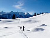 Austria,Tyrol,2 men are hiking with snow shoes through an immaculated landscape covered with fresh snow
