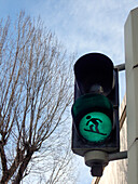 Austria,Tyrol,Innsbruck, funny green traffic light with the image of a character snowboarding
