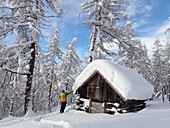 Austria,Tyrol,a man carrying a yellow backpack is standing in a larch forest in ,front of a wooden caban covered by fresh snow