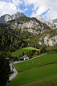 Österreich,Steiermark,Johnsbachtal,Kalkgebirgslandschaft mit Föhrenwäldern, Feldern und einem traditionellen Bauernhof im Talgrund