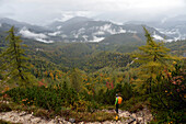 Österreich,Steiermark,ENNSTAL Alpen,Luchspfad,ein Mann mit Rucksack steht über einem Tal mit nebelverhangenen Tannenwäldern