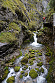 Österreich,Steiermark,ENNSTAL Alpen, ein Mann steht auf einer Holzbrücke in der Wasserlochklamm