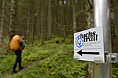 Austria,Styria,a man carrying an orange backpack walks through the woods ,on the foreground we see the mark of trail representing a lynx Der LUCHS TRAIL