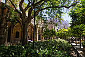 BARCELONA,SPANIEN - 01. JUNI 2019. Garten im Hinterhof des ehemaligen Krankenhauses Santa Creu de Barcelona. Jetzt ist das bedeutende gotische Ensemble die Nationalbibliothek von Katalonien, Barcelona